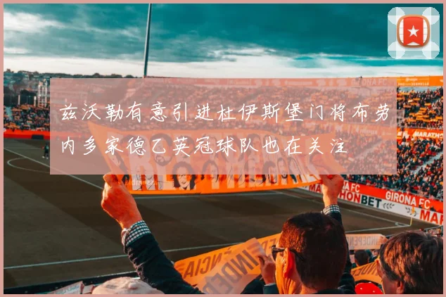 兹沃勒有意引进杜伊斯堡门将布劳内多家德乙英冠球队也在关注