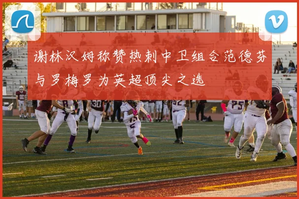 谢林汉姆称赞热刺中卫组合范德芬与罗梅罗为英超顶尖之选