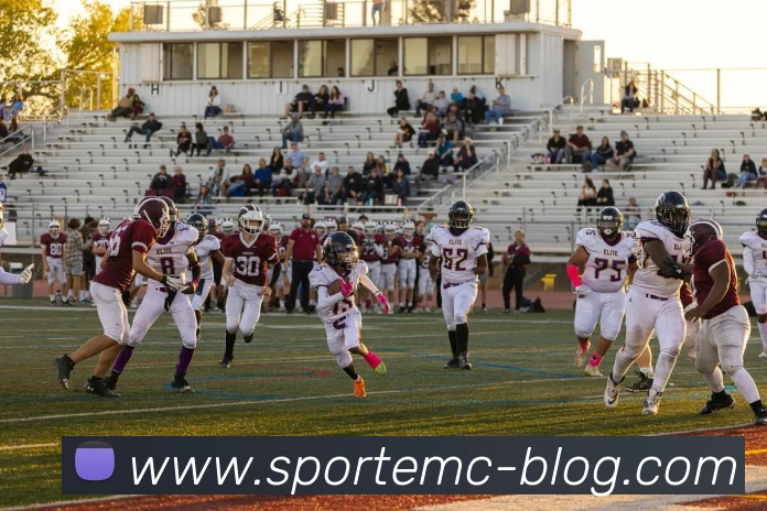 易倍体育平台生态图