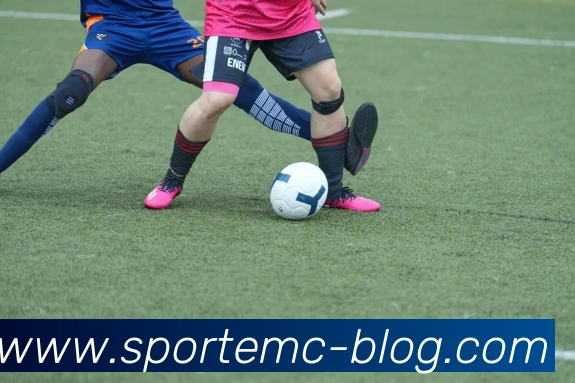 易倍体育APP 封面图